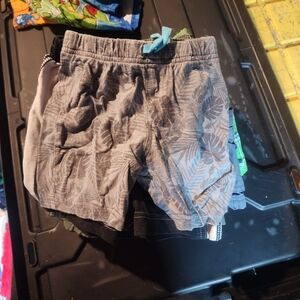 Boys Shorts